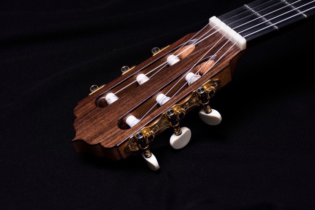 Saeid Aboutalebian Workshop